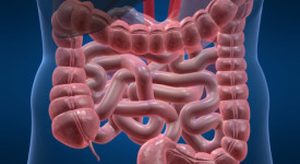 Candida intestinale sintomi diagnosi cura